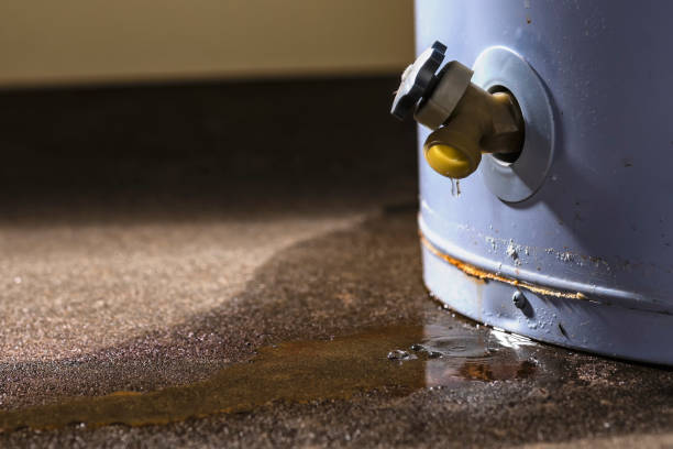 Best Sewage cleanup and water damage restoration  in White River Junction, VT