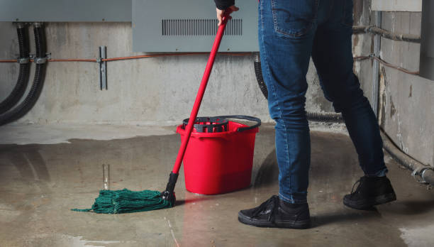 Best Basement water damage restoration  in White River Junction, VT
