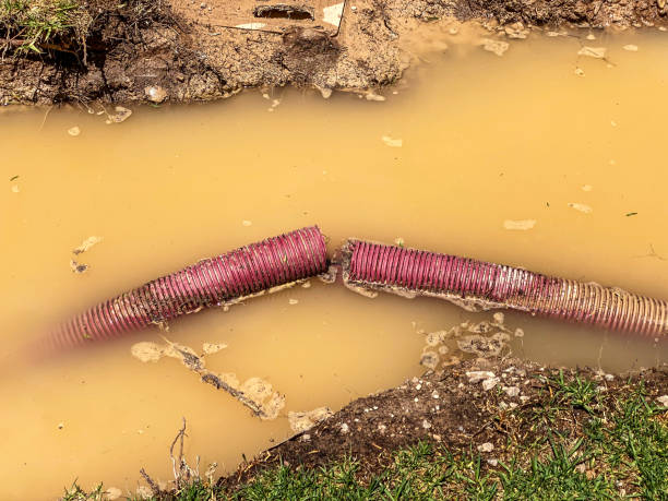 Best Water damage cleanup near me  in White River Junction, VT